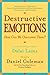 Image of Destructive Emotions: A Scientific Dialogue with the Dalai Lama