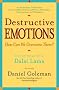 Destructive Emotions: A Scientific Dialogue with the Dalai Lama