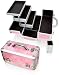 Beauty : Pink Professional Aluminum Cosmetic Train Case with Brush Holder Style No. TS-73