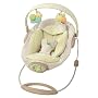 Bright Starts InGenuity Automatic Bouncer - Bella Vista