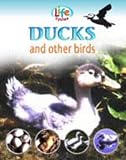 Ducks and Other Birds (Life cycles)