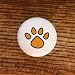 CATS KITTENS CCL ORANGE PAW PRINT DRAWER PULLS KNOBS