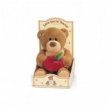 Gund Thinking of You Extra Special Teacher Plush Bear