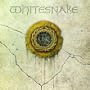 Whitesnake