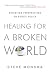 Healing for a Broken World: Christian Perspectives on Public Policy