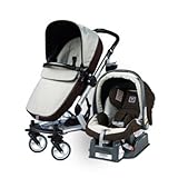 2011 Skate Travel System