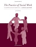 The Practice of Social Work: A Comprehensive Worktext