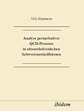 Analyse perturbativer QCD-Prozesse in ultrarelativistischen Schwerionenkollisionen - Nils Hammon