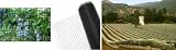 3/4 Mesh Light Duty Oriented Bird or Aquatic Netting 14' X 400'
