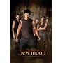 The Twilight Saga: New Moon Movie (Jacob, Group) Poster Print - 24x36