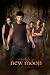 The Twilight Saga: New Moon Movie (Jacob, Group) Poster Print - 24" X 36"