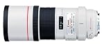 Canon EF 300mm f/4L IS USM Telephoto Lens for Canon SLR Cameras