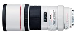 Canon EF 300mm f/4L IS USM Telephoto Lens for Canon SLR Cameras