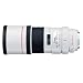 Canon EF 300mm f/4L IS USM Telephoto Lens for Canon SLR Cameras