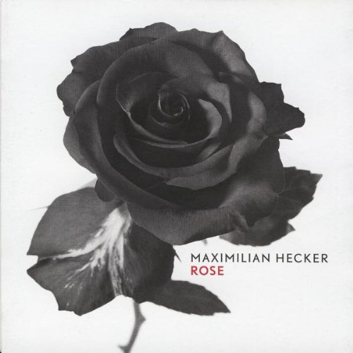 Produkt-Bild: Rose