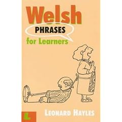 Welsh Phrases for Learners