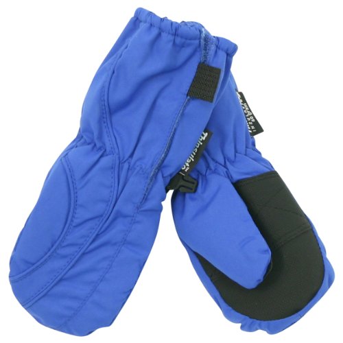 Toddler Boy's (2 - 4) Long Thinsulate Lined / Wateproof Ski Mittens
