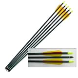 Heavy Duty Aluminium Arrow - 31 Long - set of 5