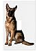 German Shepherd Dog Wallplate Decorative Switch Plate Cover (1 Gang.