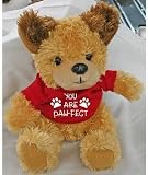Small Stuffed Soft And Cuddly Cute Plush Dog Toy In Shirt With 