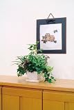 光触媒グリーン 人工観葉植物 寄せ植え ゼブラ ドラセナ アイビー フィットニア ユーカリ カタバミ ミックスポット