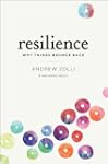 Resilience: Why Things Bounce Back