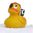 Pirate Duck
