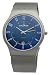 Skagen Titanium Mesh Mens Watch 233XLTTN