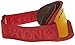 Dragon Alliance DX Ski Goggles