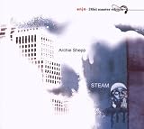 Steam