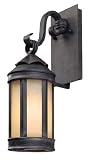 Anderson's Forge Outdoor Wall Lantern - 7 inches wide
