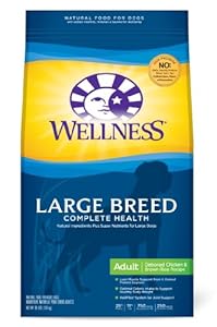 Wellness Complete Health Natural Dry Dog Food, Large Breed Health Recipe, 30-Pound Bag