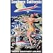 Pacific Southwest Airline Southern California Minicraft Collection 1000pc Puzzle Retro Vintage