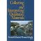 Dissertation Qualitative, Quantitative and helpful texts