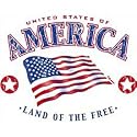 America-Land Of The Free Adult T-Shirt