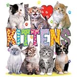 Women's Sweatshirt : I Love Kittens - Heart Cute Cats