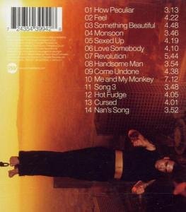 explicit lyrics of robbie williams feel
