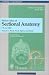 Pocket Atlas of Sectional Anatomy, Computed Tomography and Magnetic Resonance Imaging, Volume 1: Head, Neck, Spine, and Joints