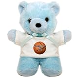 Teddy Bear Blue Basketball Equals Life