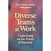 Diverse Teams at Work: Capitalizing on the Power of Diversity