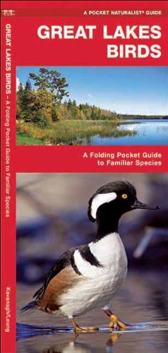 Great Lakes Birds: A Folding Pocket Guide to Familiar Species (Pocket Naturalist Guide Series)