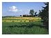Amish Farms, Vernon County, Wisconsin, Amish Culture Photographic Poster Print by Joseph Fire, 24x18
