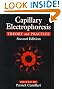 Capillary Electrophoresis: Theory and Practice, Second Edition (New Directions in Organic & Biological Chemistry)