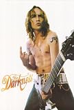 The Darkness (Shirtless w/ Guitar) Music Poster Print - 24