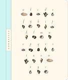Seashell Mini Address Book