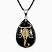 REALBUG Gold Scorpion Necklace, Black, small