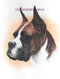 Boxer - Portrait by Cindy Farmer