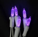 Set of 70 Purple LED M5 Mini Commercial Christmas Lights - White Wire