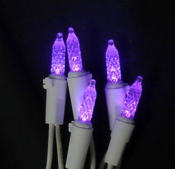 Set of 70 LED Purple M5 Mini Christmas Lights - White Wire