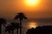Italian Sunset with Palms - 24W x 16H - Peel and Stick Wall Decal by Wallmonkeys